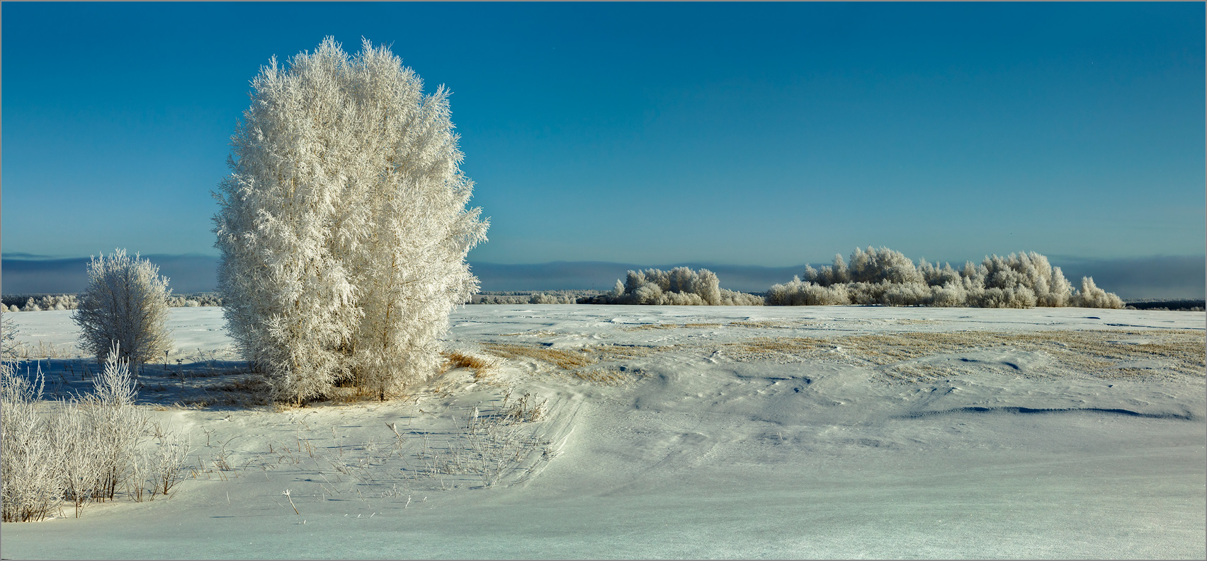 Одним зимним днем...