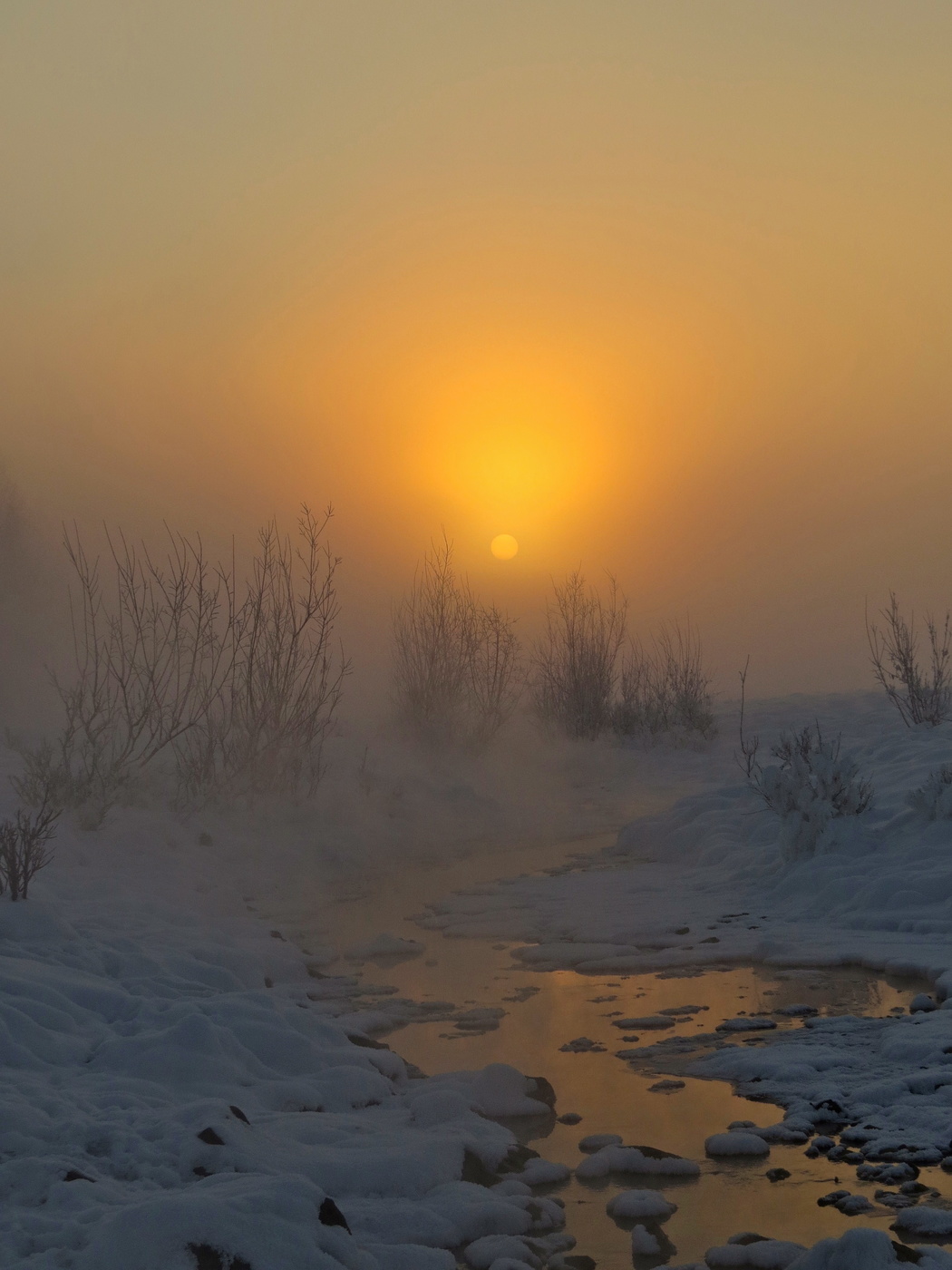 Талица – незамерзающий родник
