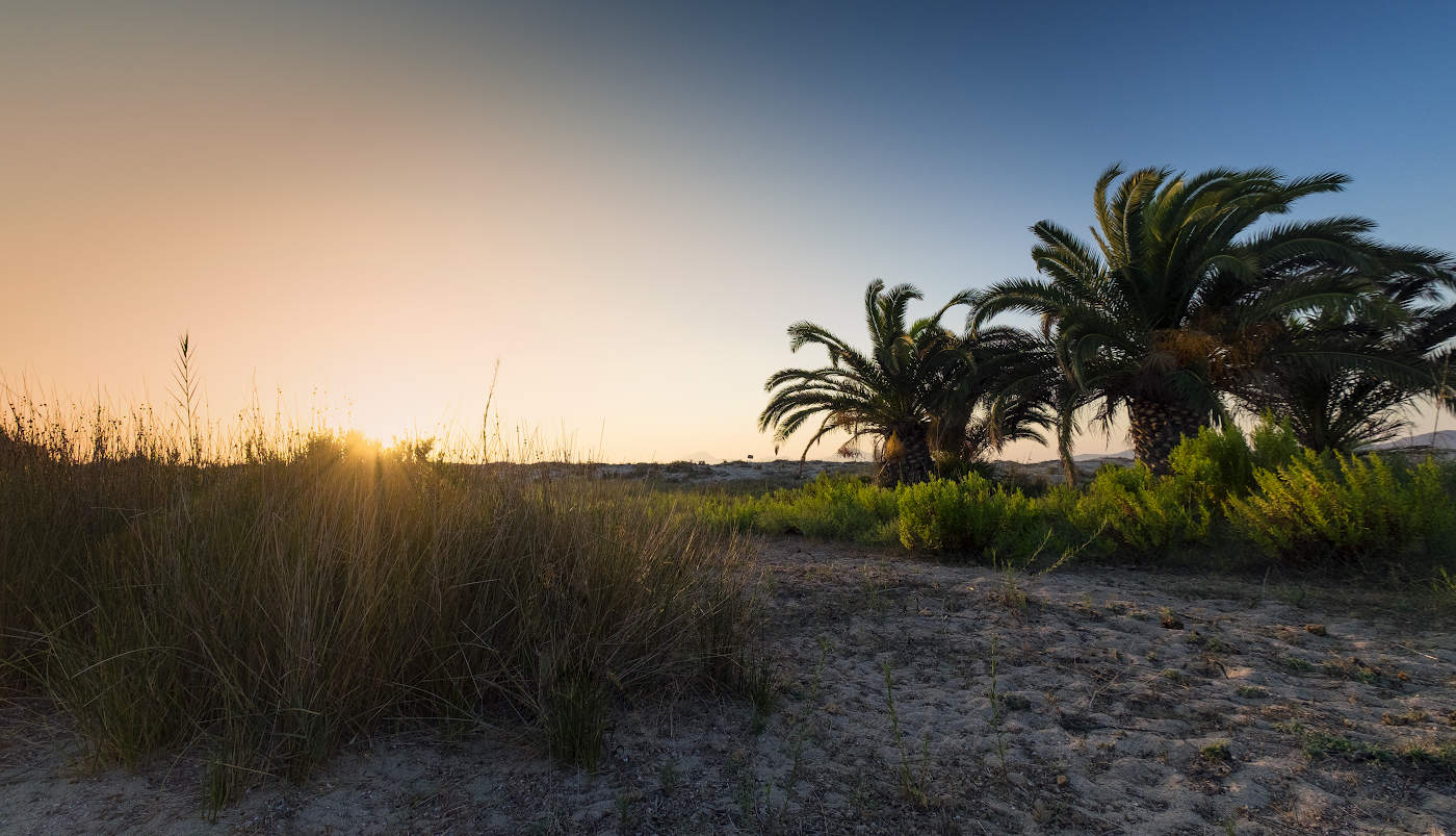 Воспоминание о будущем...
