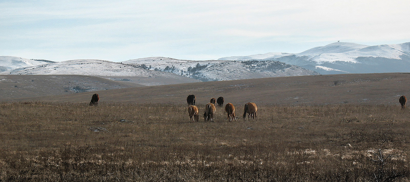 Пейзажная панорама