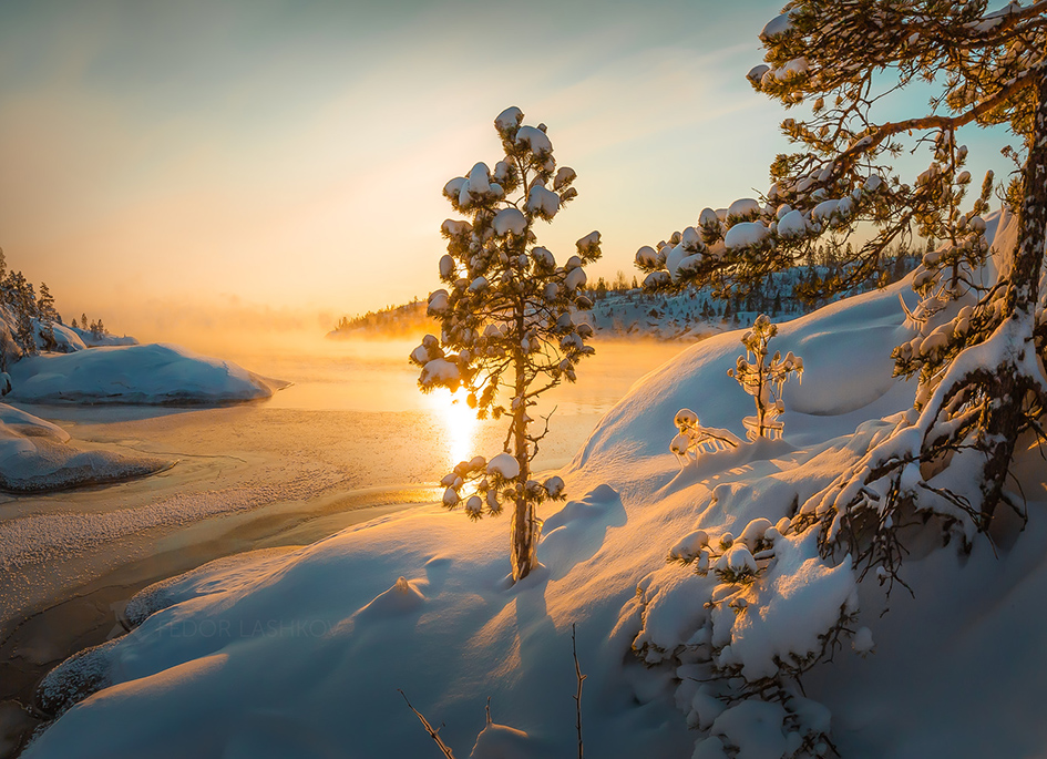 Золотое утро