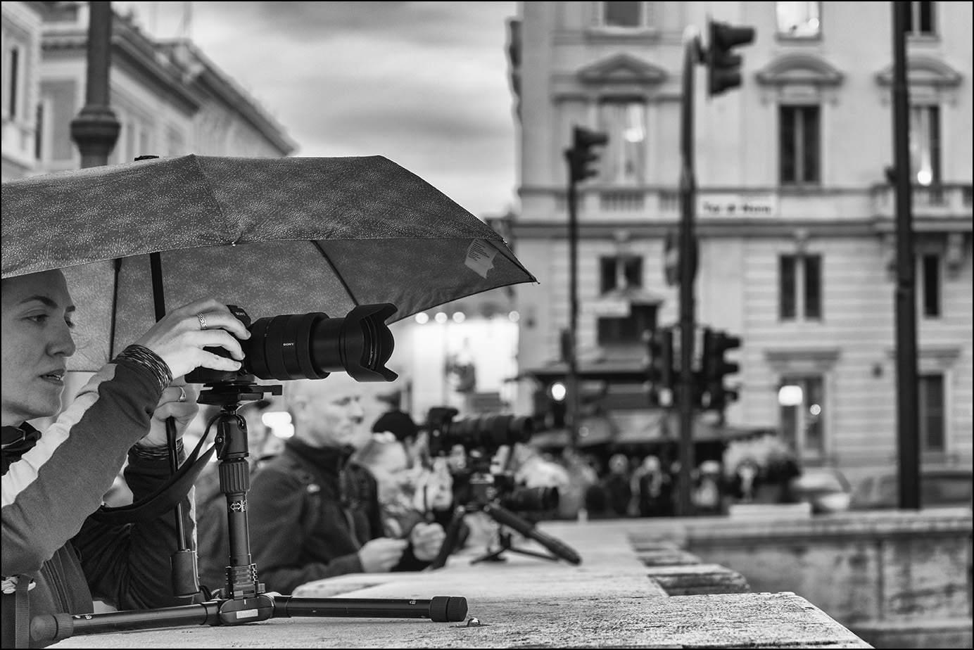 сони и светофоры     