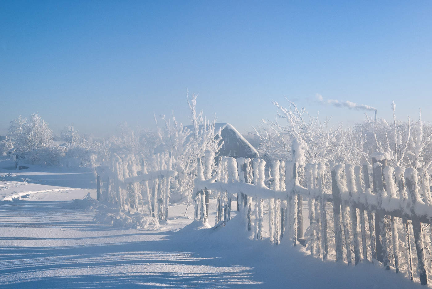 Всех поздравляю с Сочельником и наступающим Рождеством!