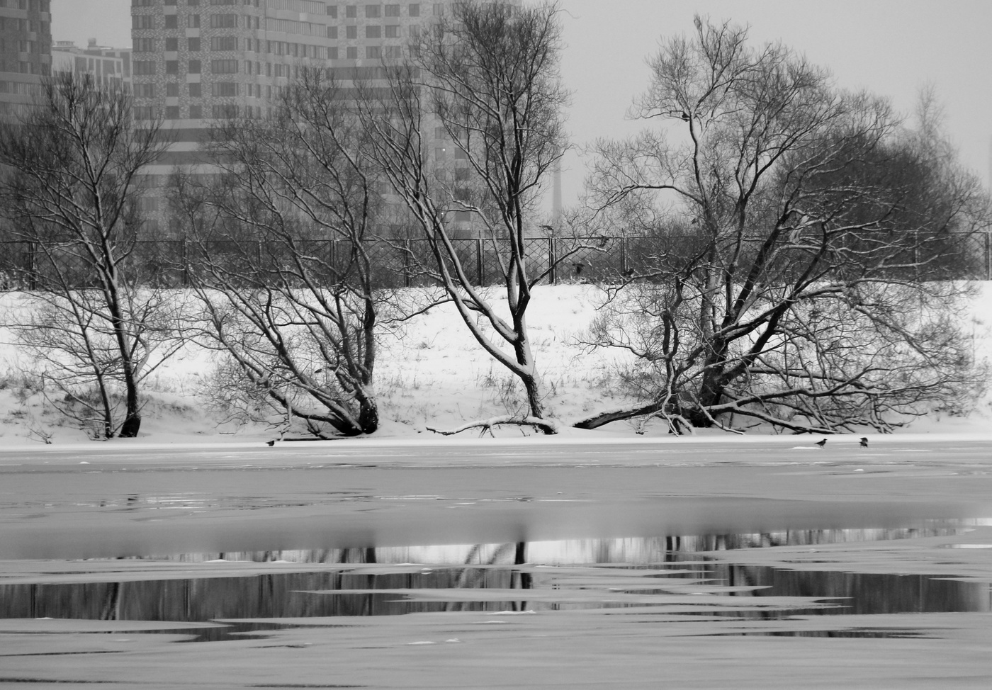 Зимний пейзаж