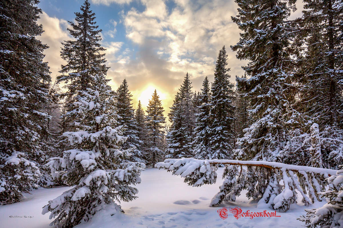 С Рождеством!