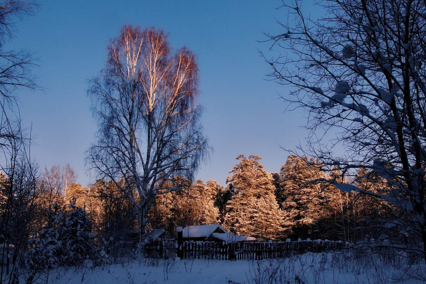 Январским днём.