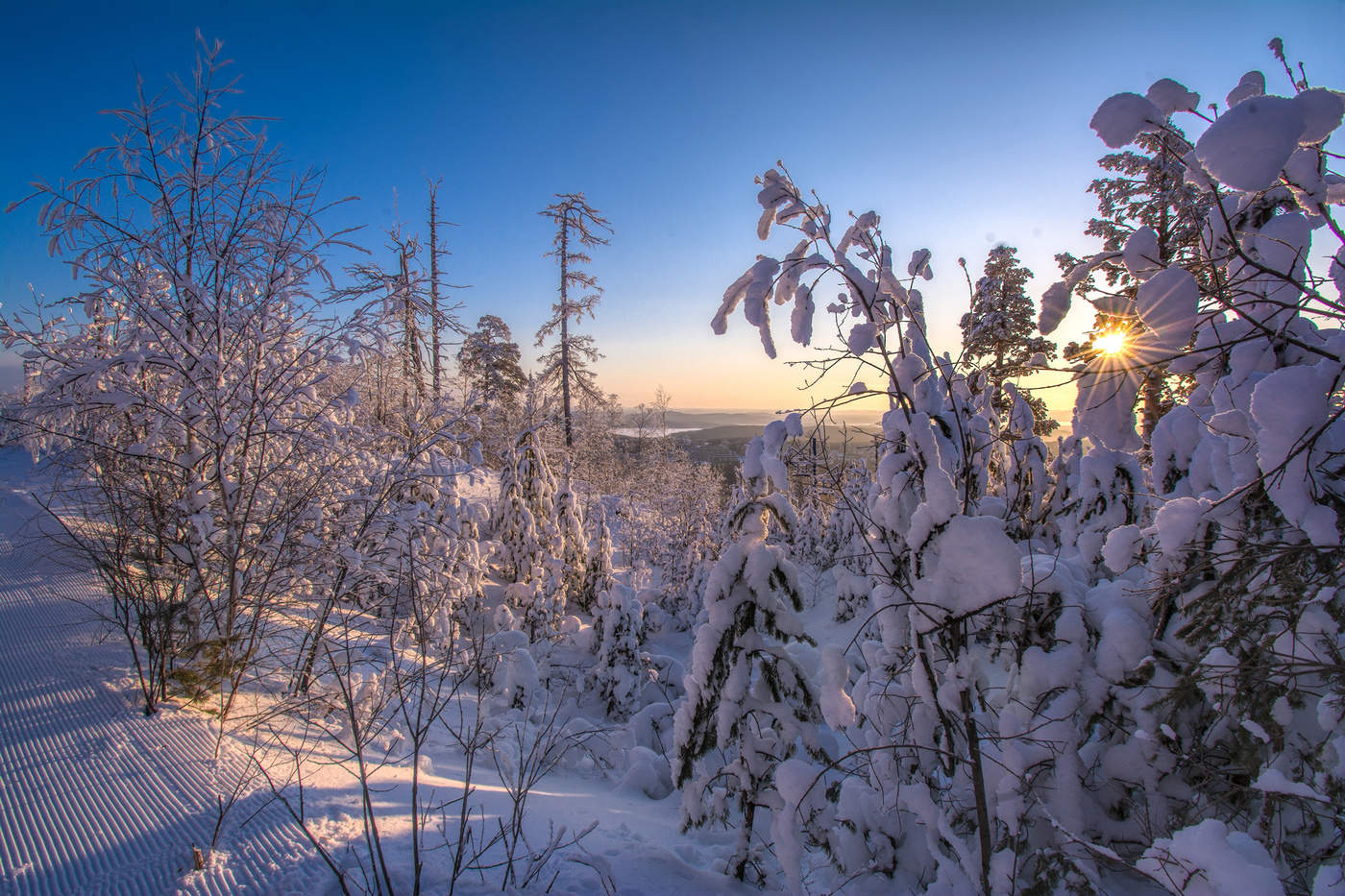 Зимнее утро