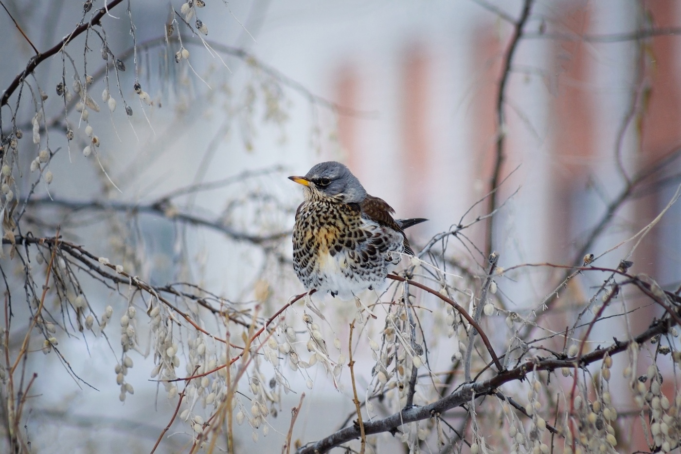 К фотосессии готов!
