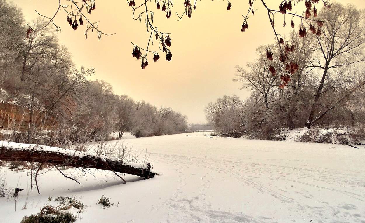 Рождественское утро на окраине города