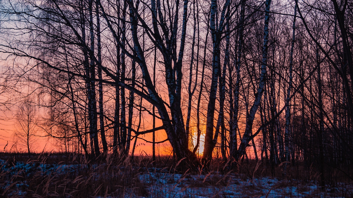 Пожар заката.