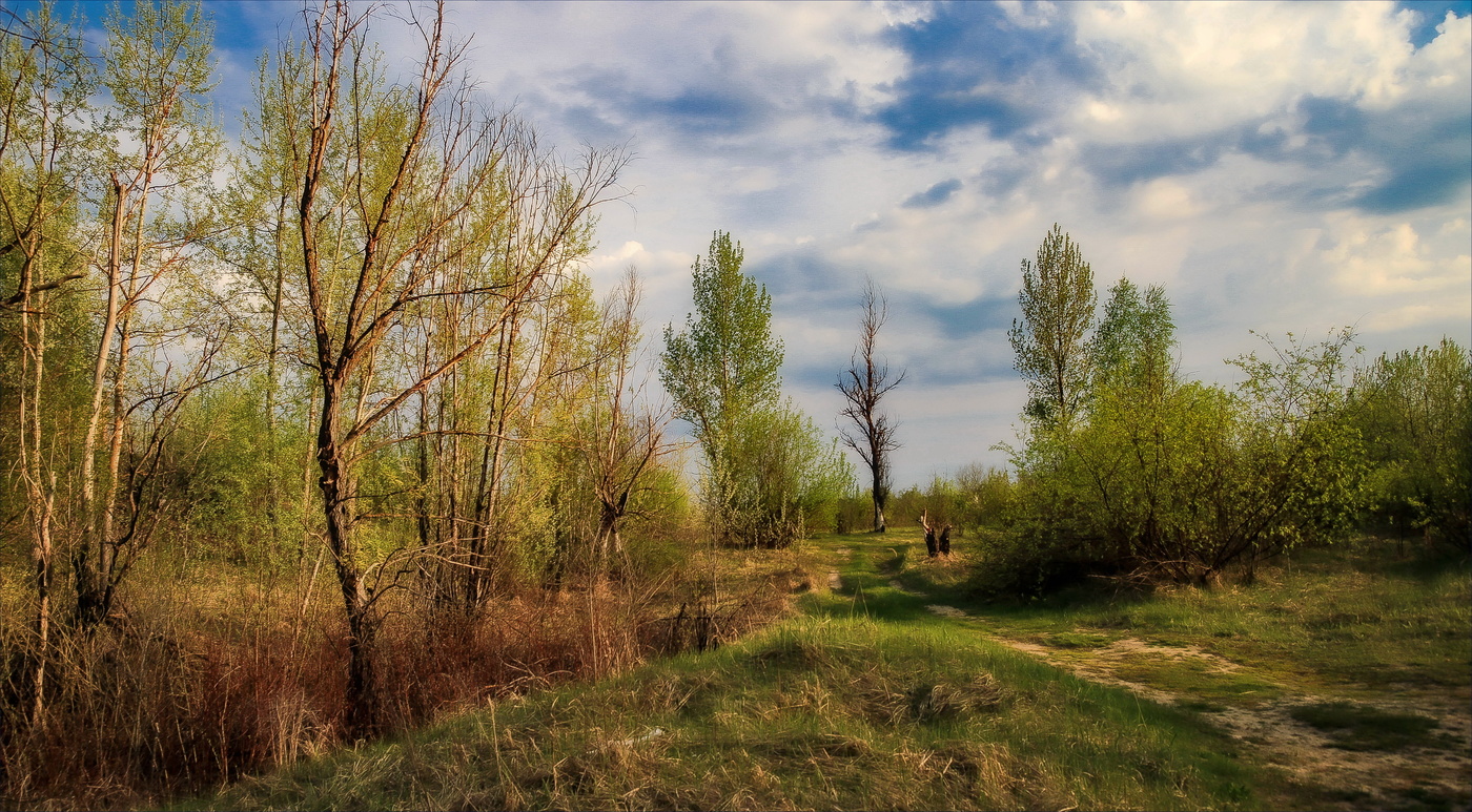 Весна куда- то завела...