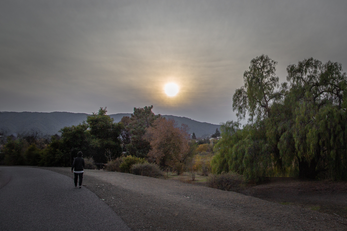 Зимнее солнце. Калифорния