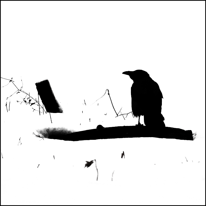 Снежная тайна