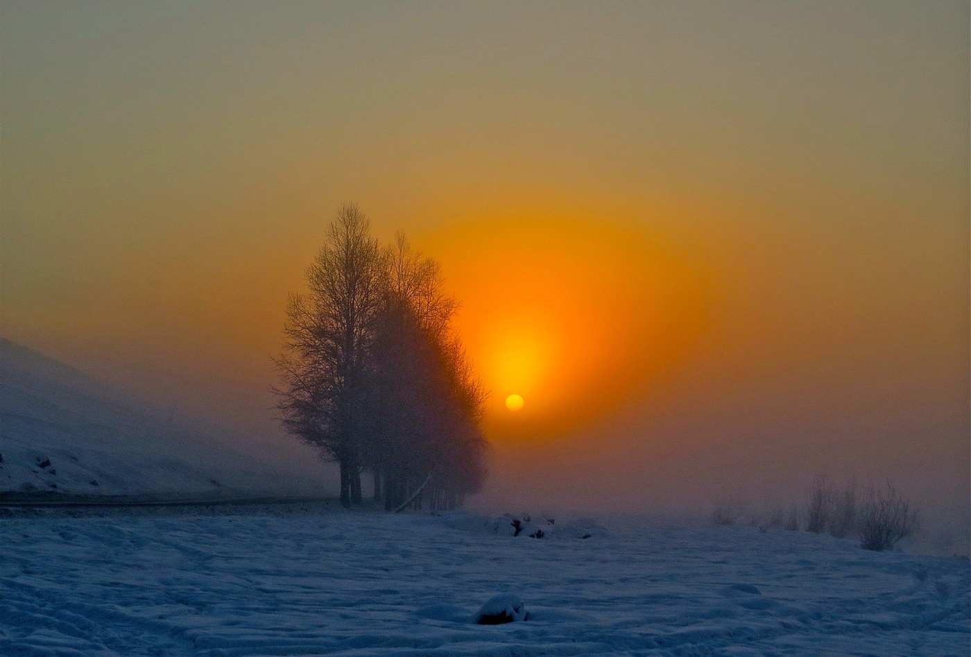 Снежная тайна