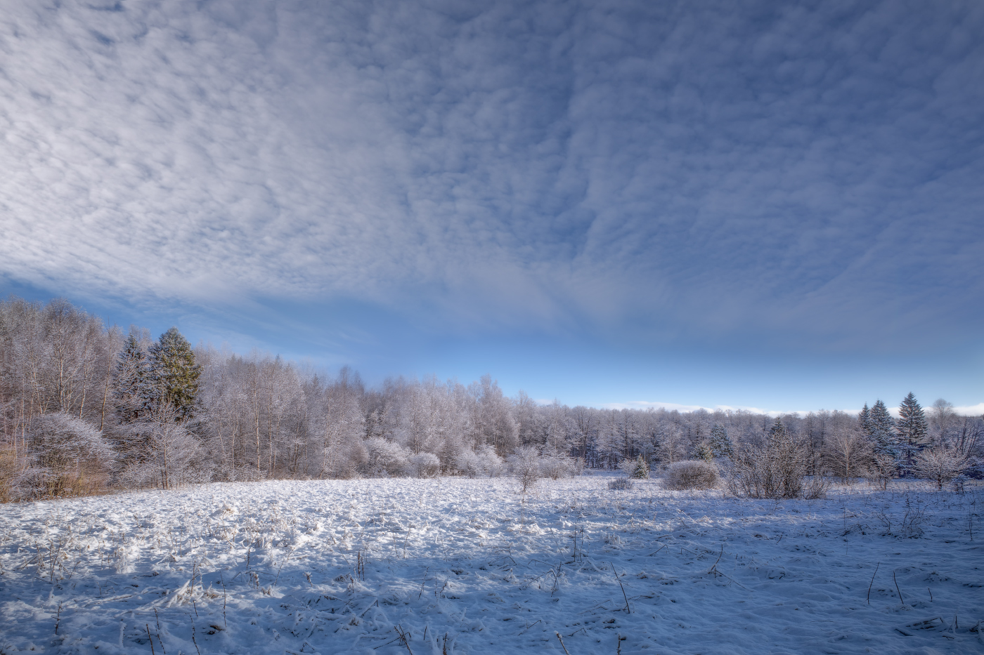 зимнее утро
