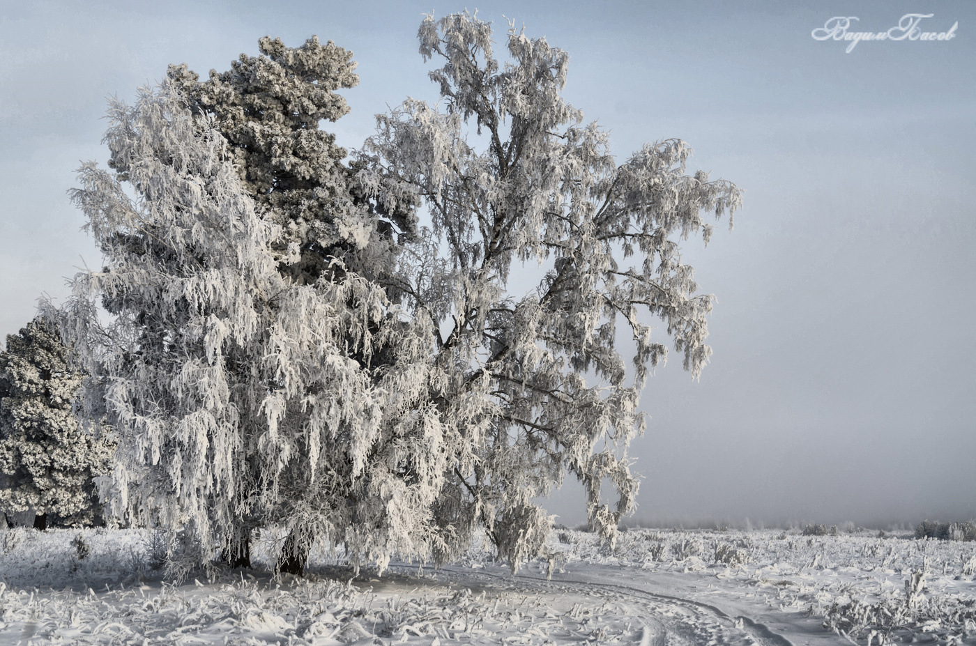 Люблю зиму во всех ее проявлениях.