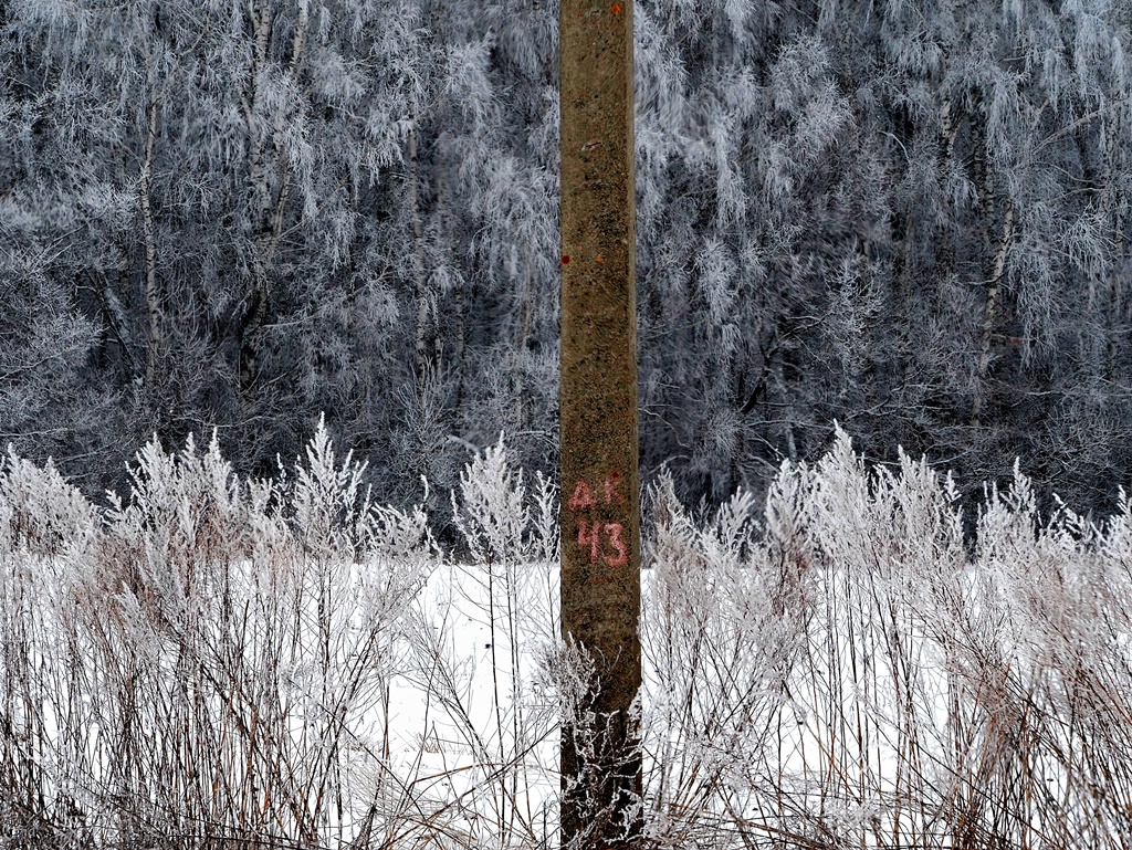 Снежная тайна