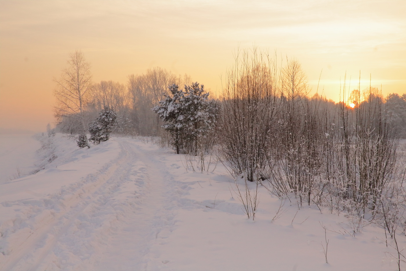 Снежная тайна