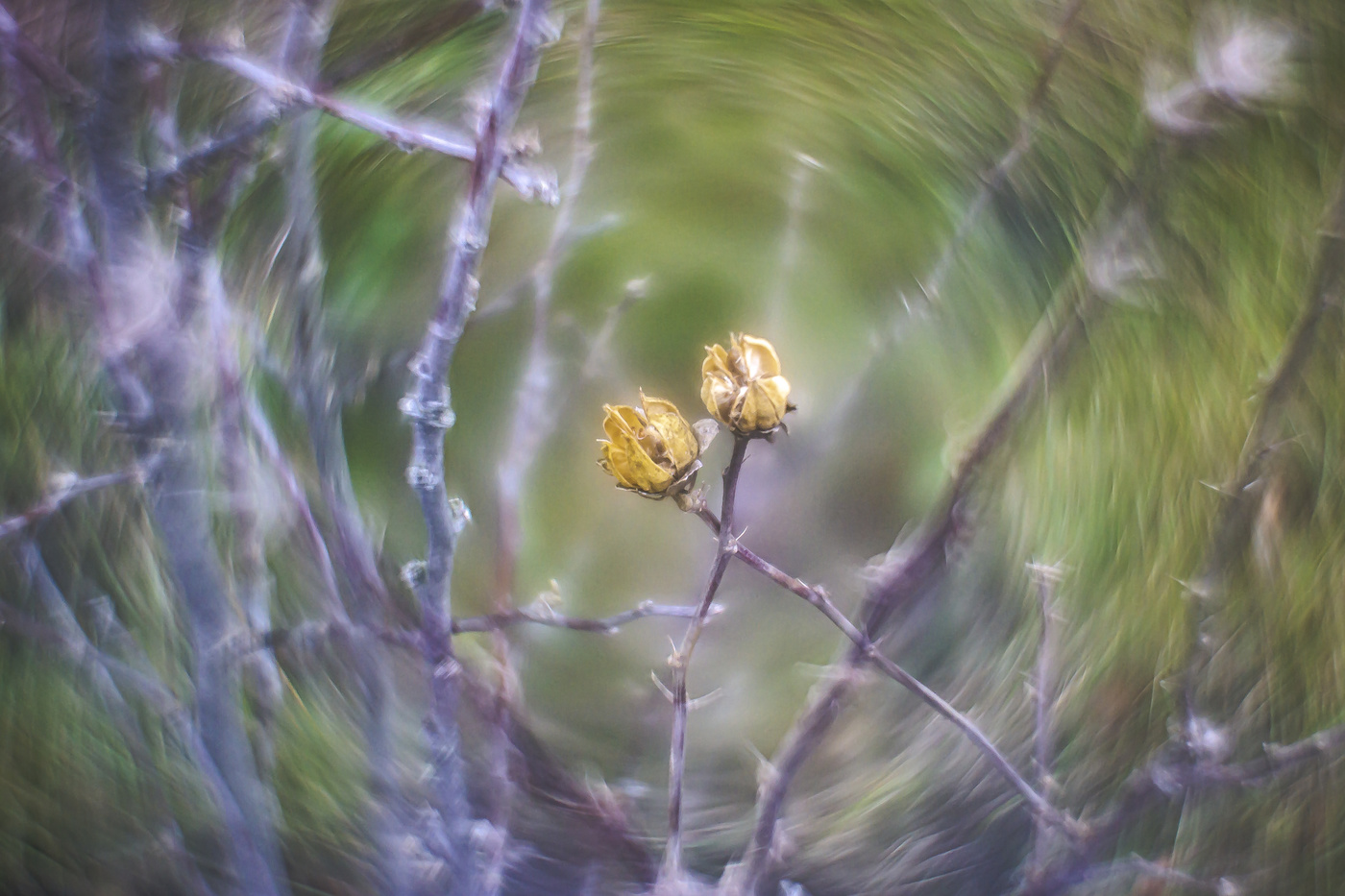 Осенний вальс