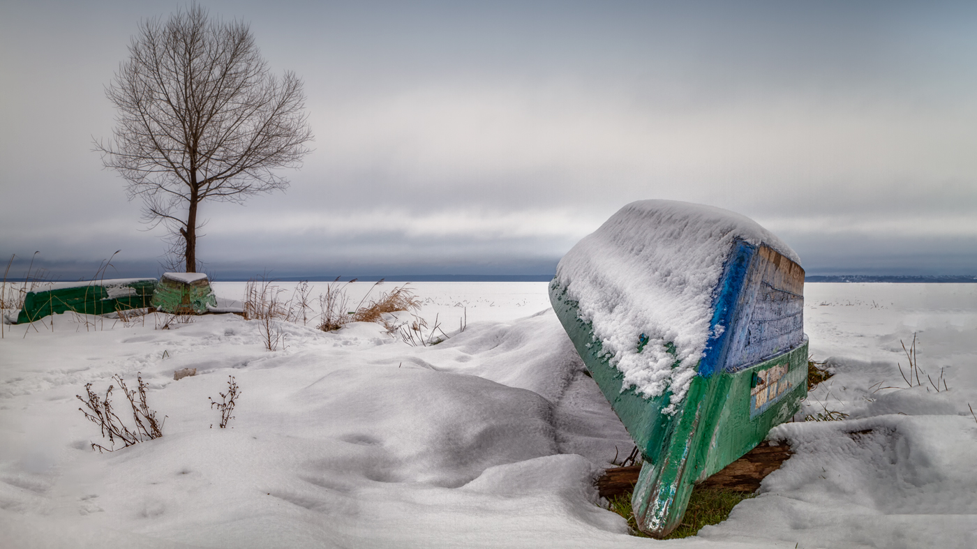 Замороженная жизнь
