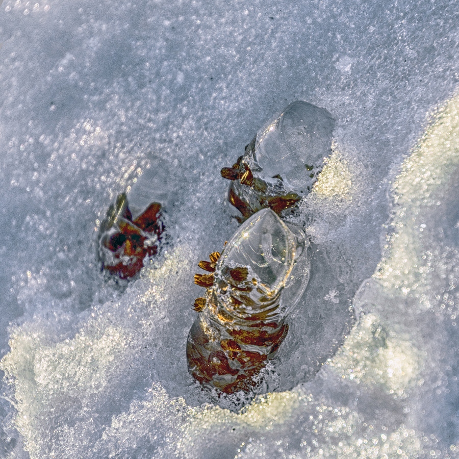 Снежная тайна