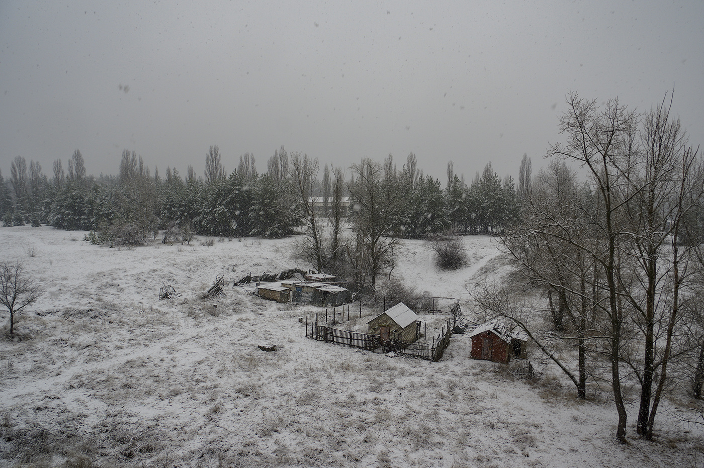 Январский снег