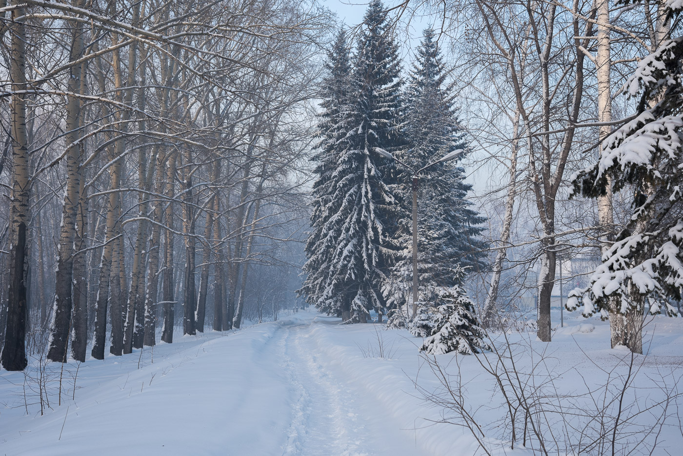 На городских улицах