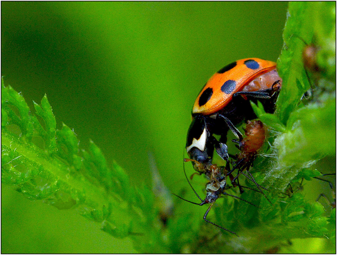 У каждого свои заботы.