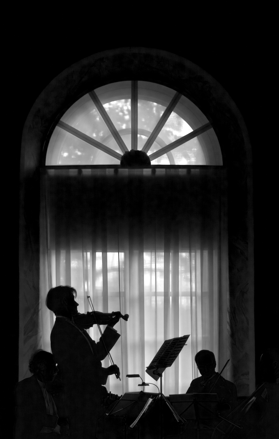 Играем Вивальди