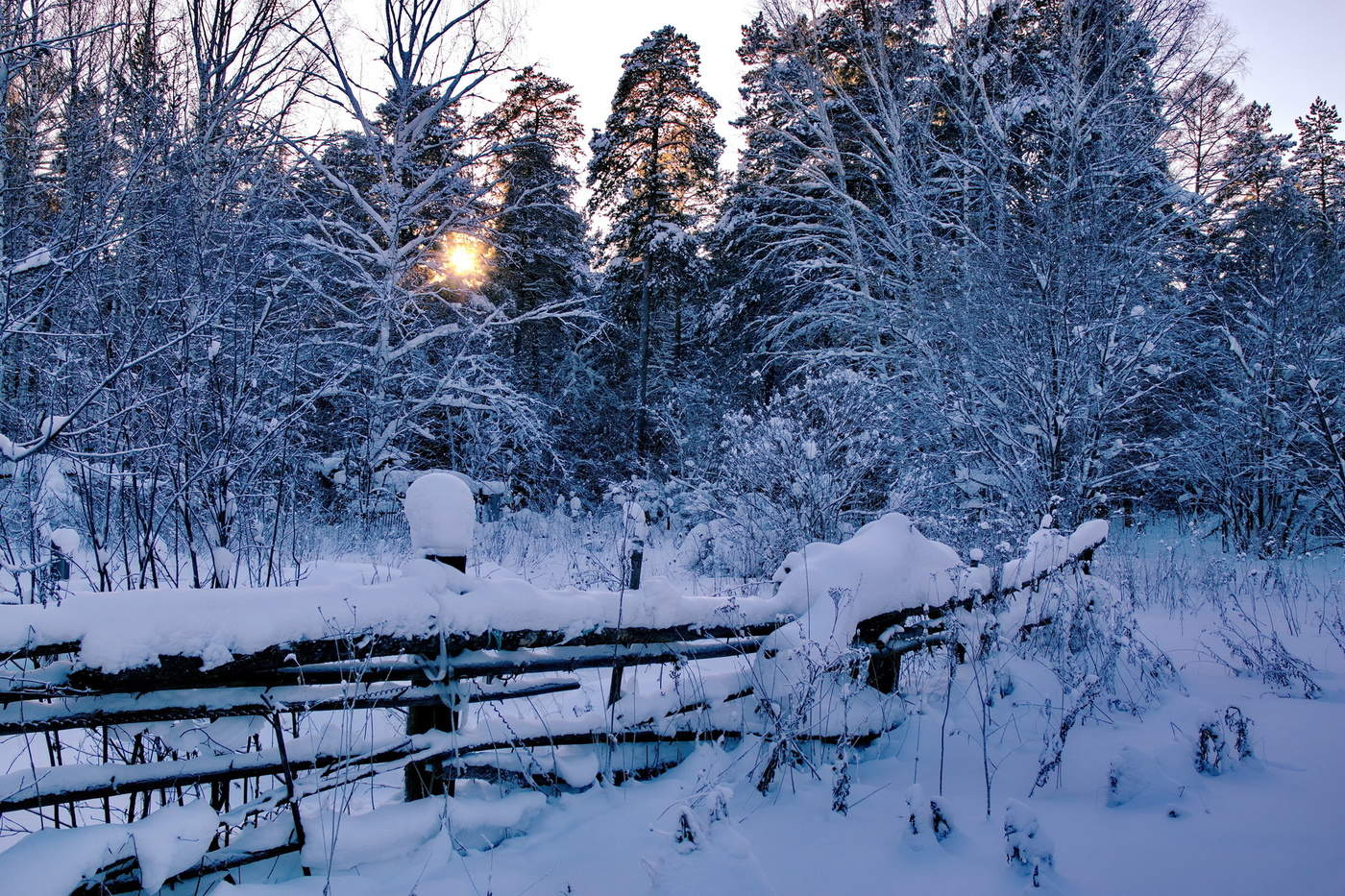 Январское солнышко.