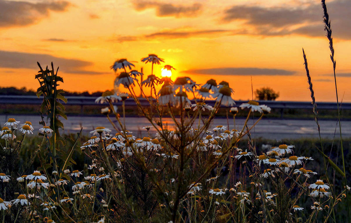 В красоте вечернего заката.