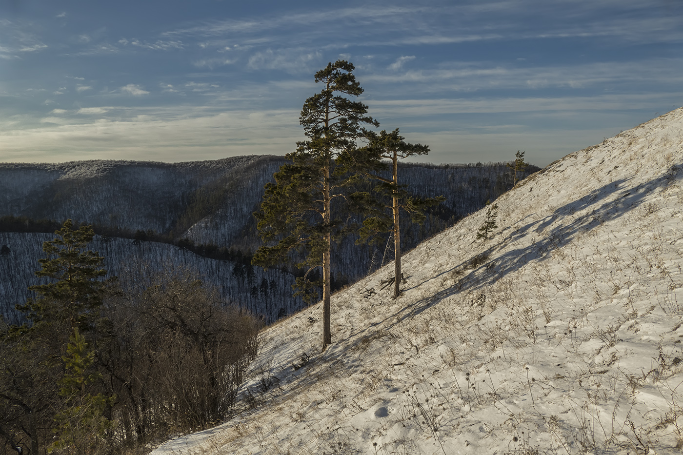 Жигулевские горы