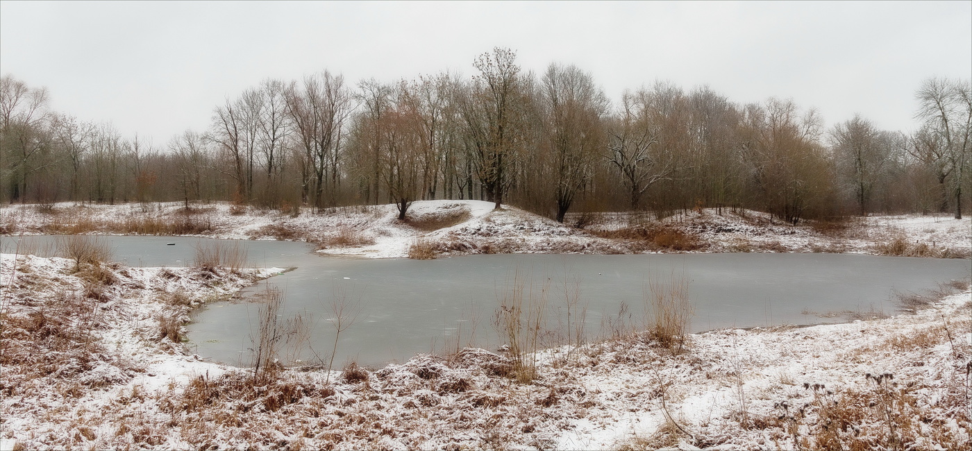 Припорошило в январе...
