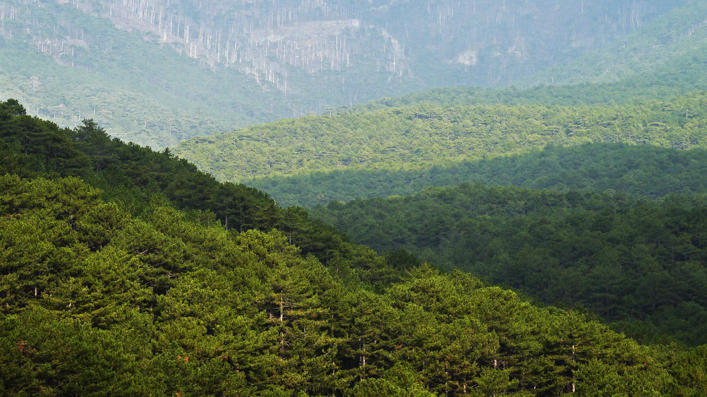 В горах другие расстояния.