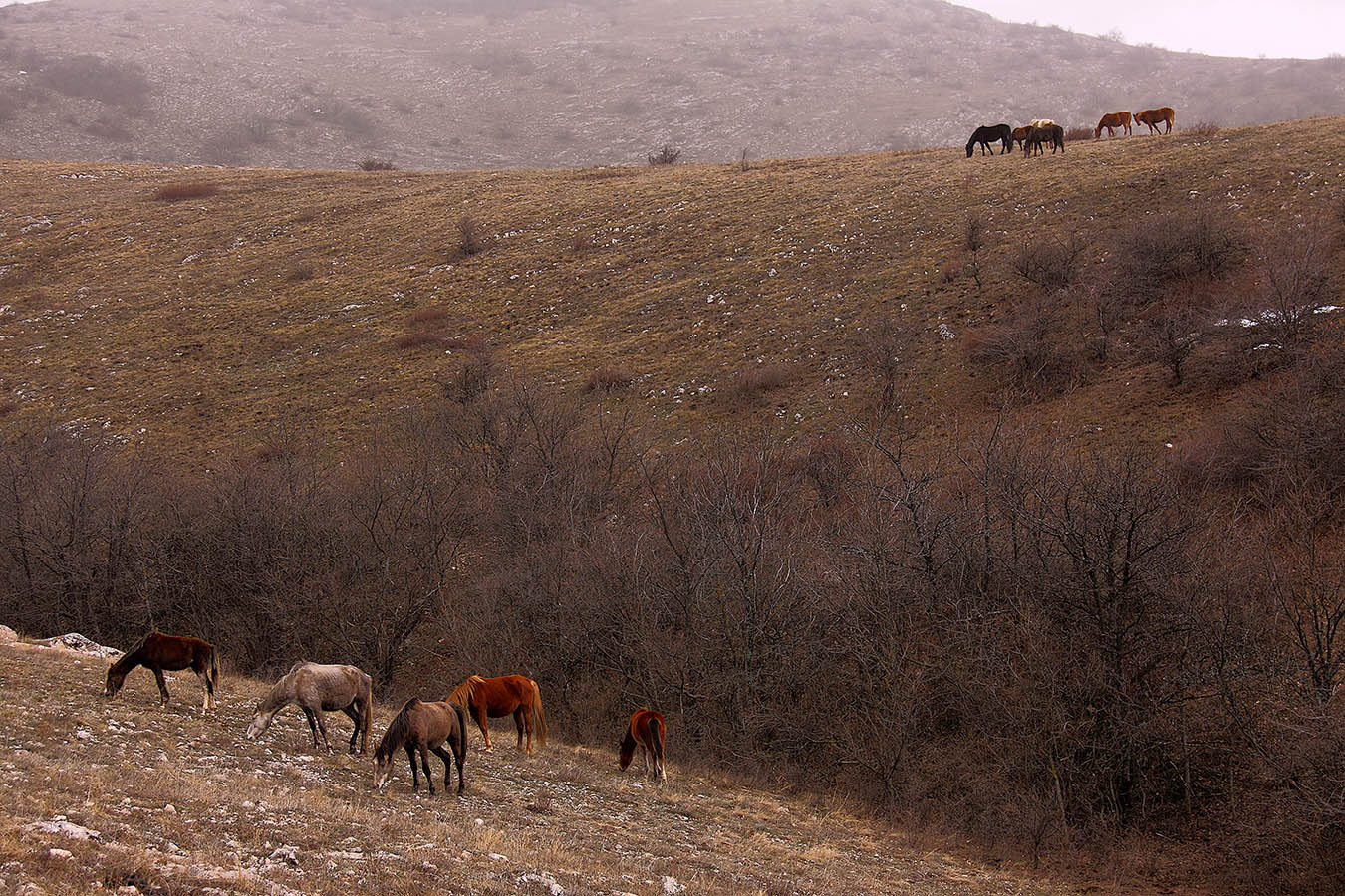 В Енисалинском ущелье