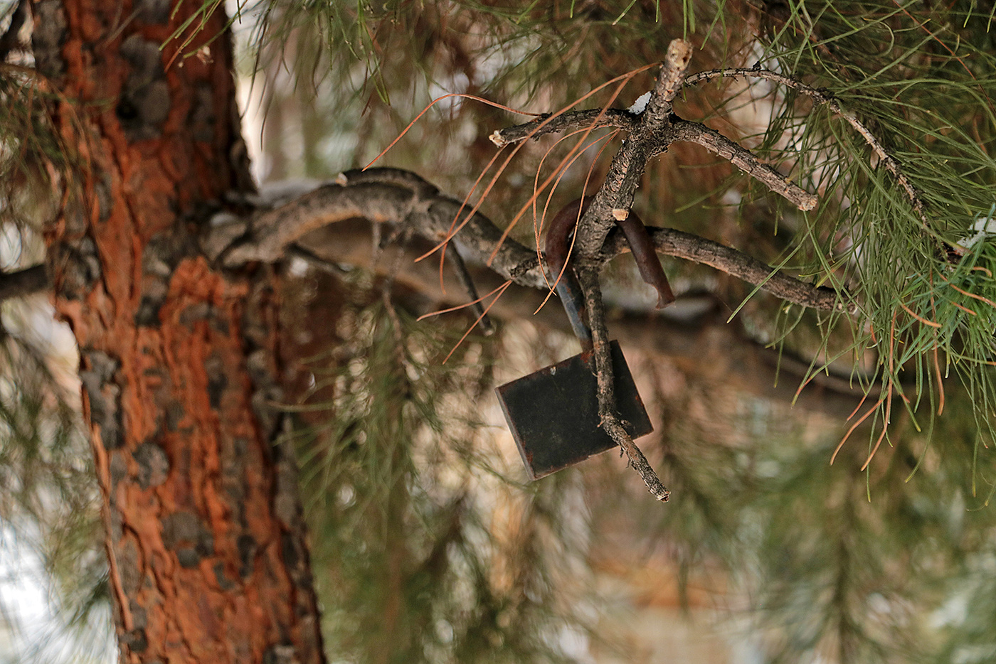 Закрыть бы на замок прошедший год...