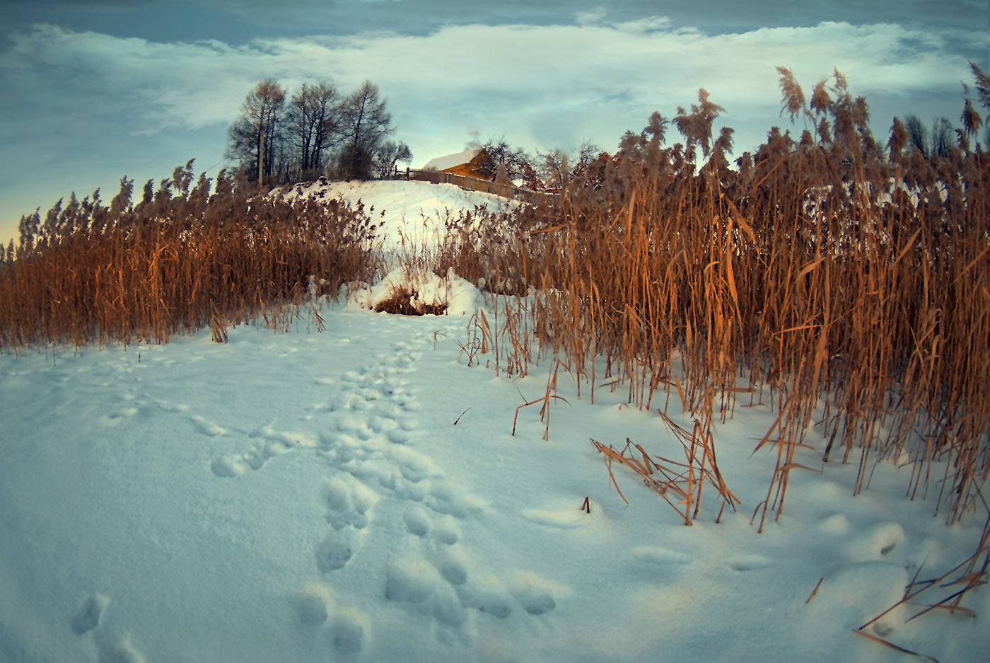 Дом на горе