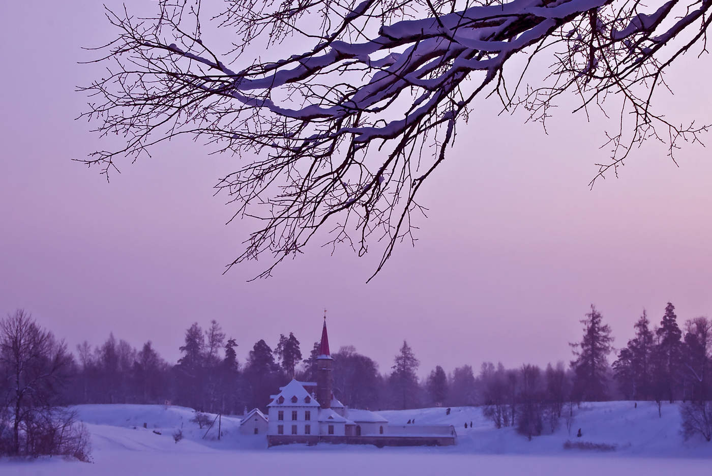 Снежная тайна