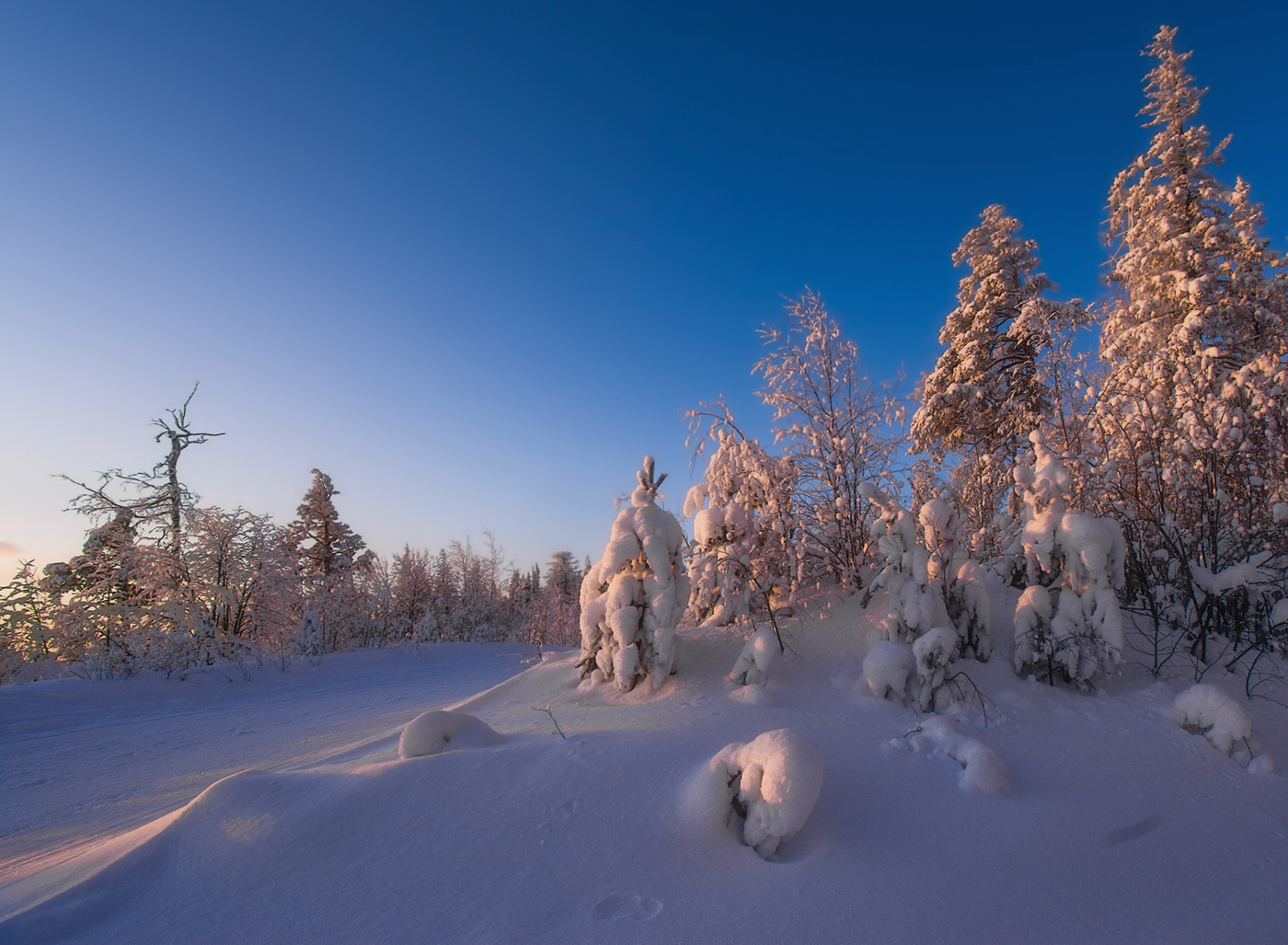 Утренний свет
