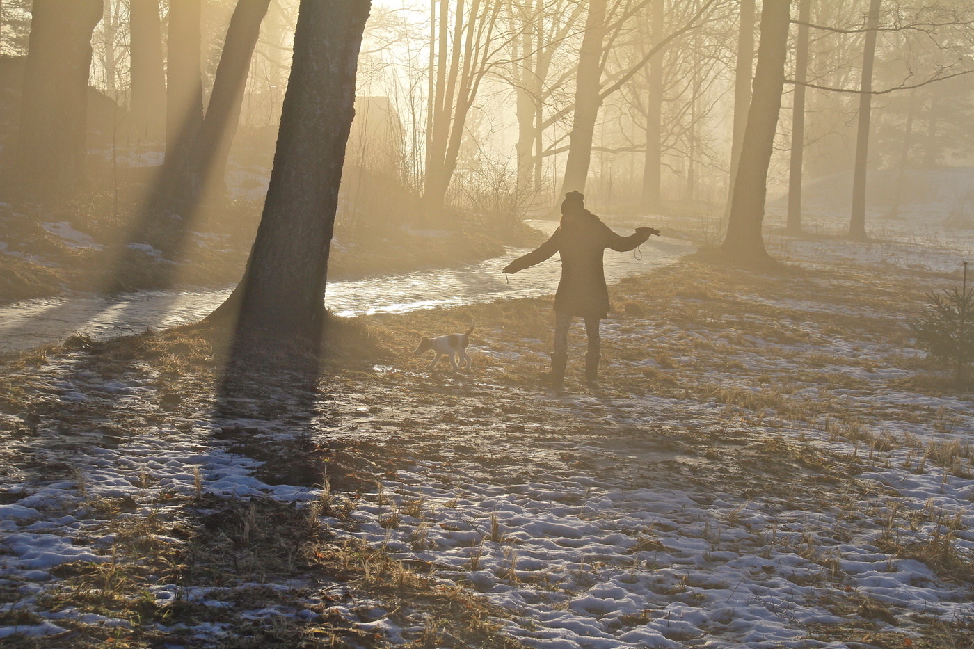 Мусино утро III