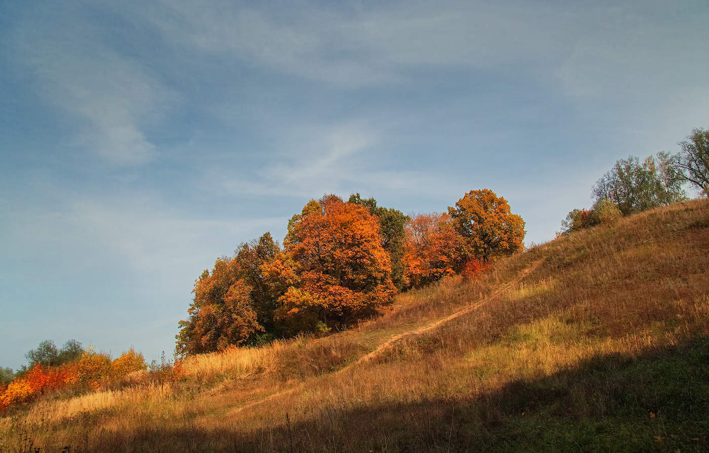 На высоком склоне