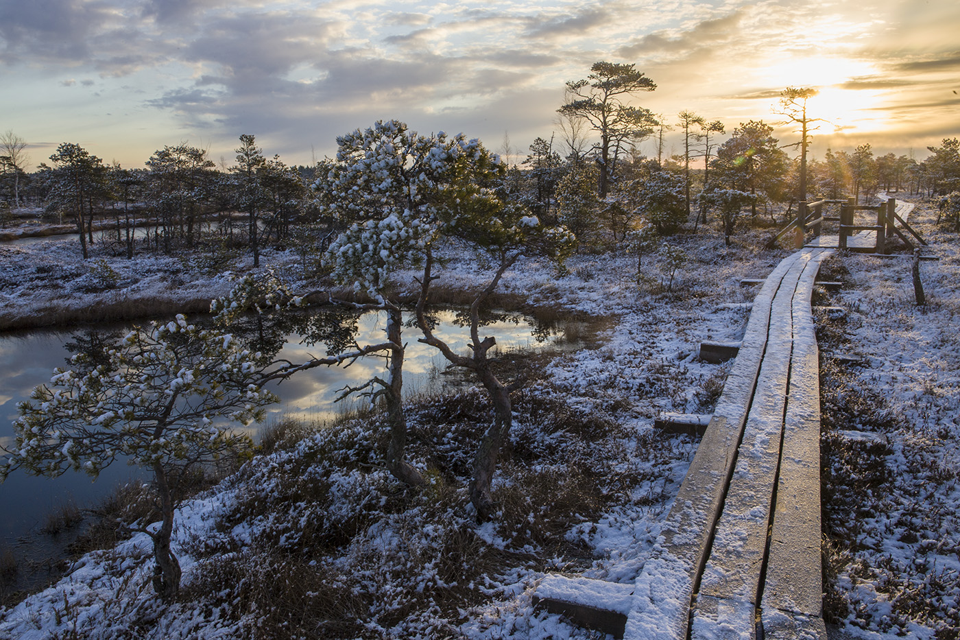 По скользкой дорожке