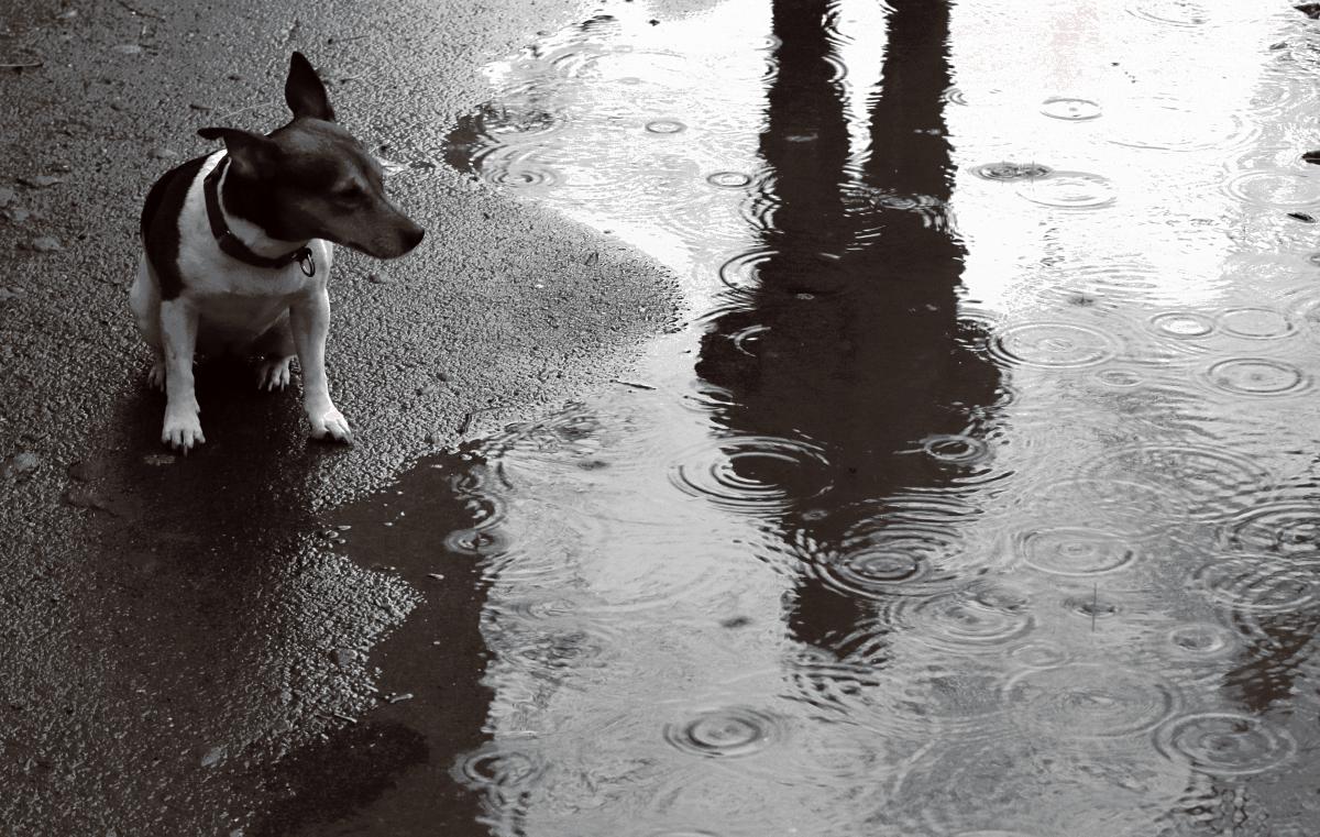 дальше не пойду!