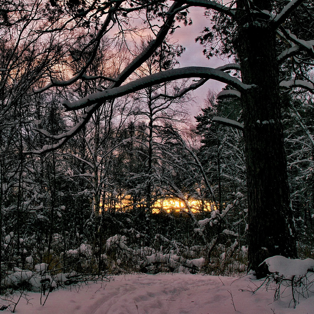 Зимнее утро.