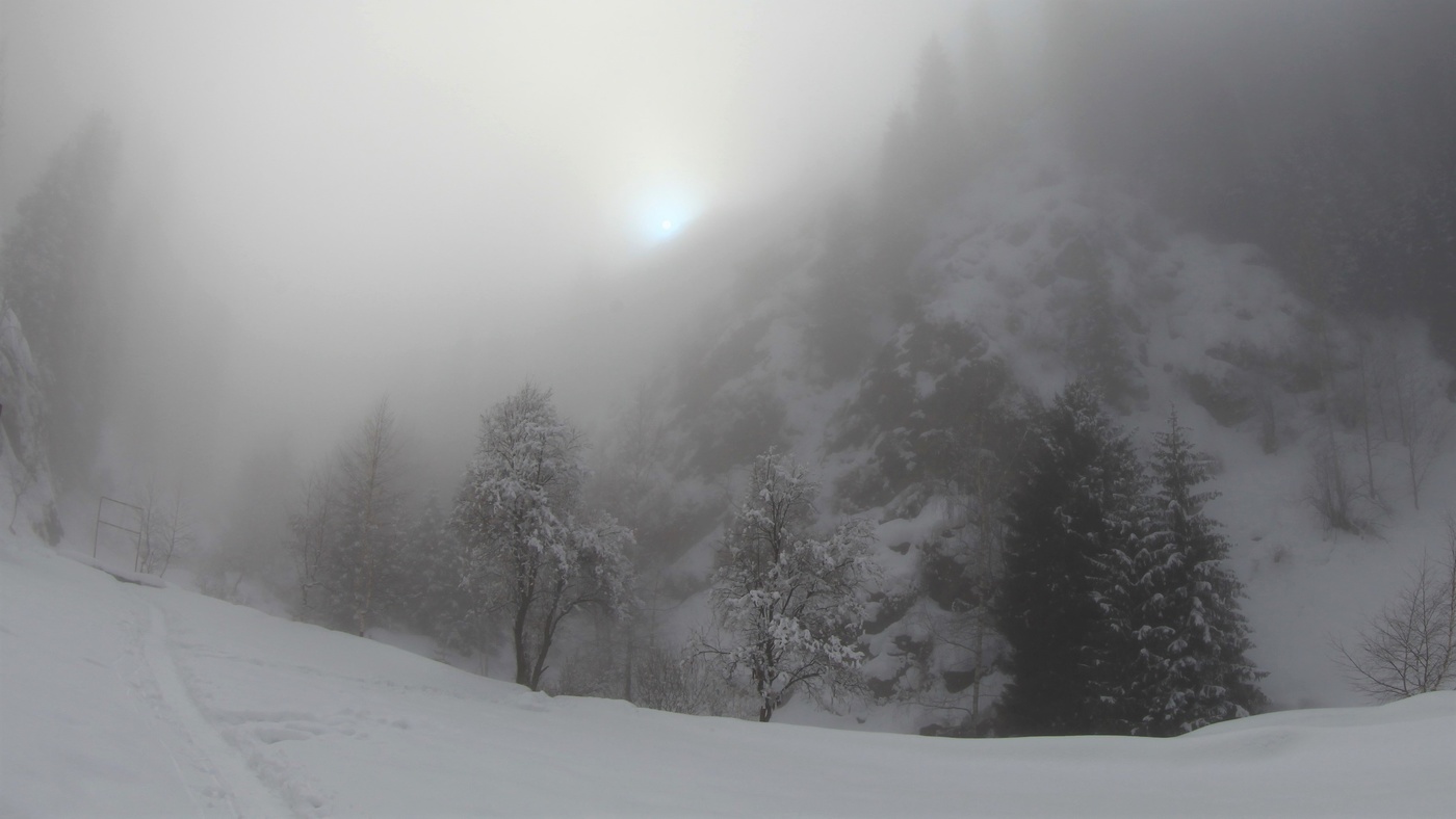 Скупое зимнее солнце