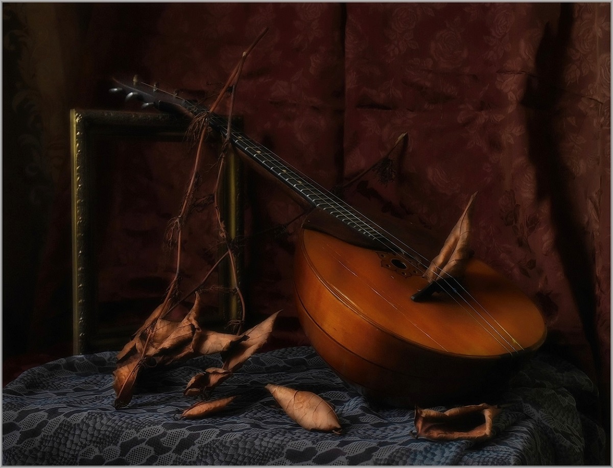 .... Музыка осенних струн ....