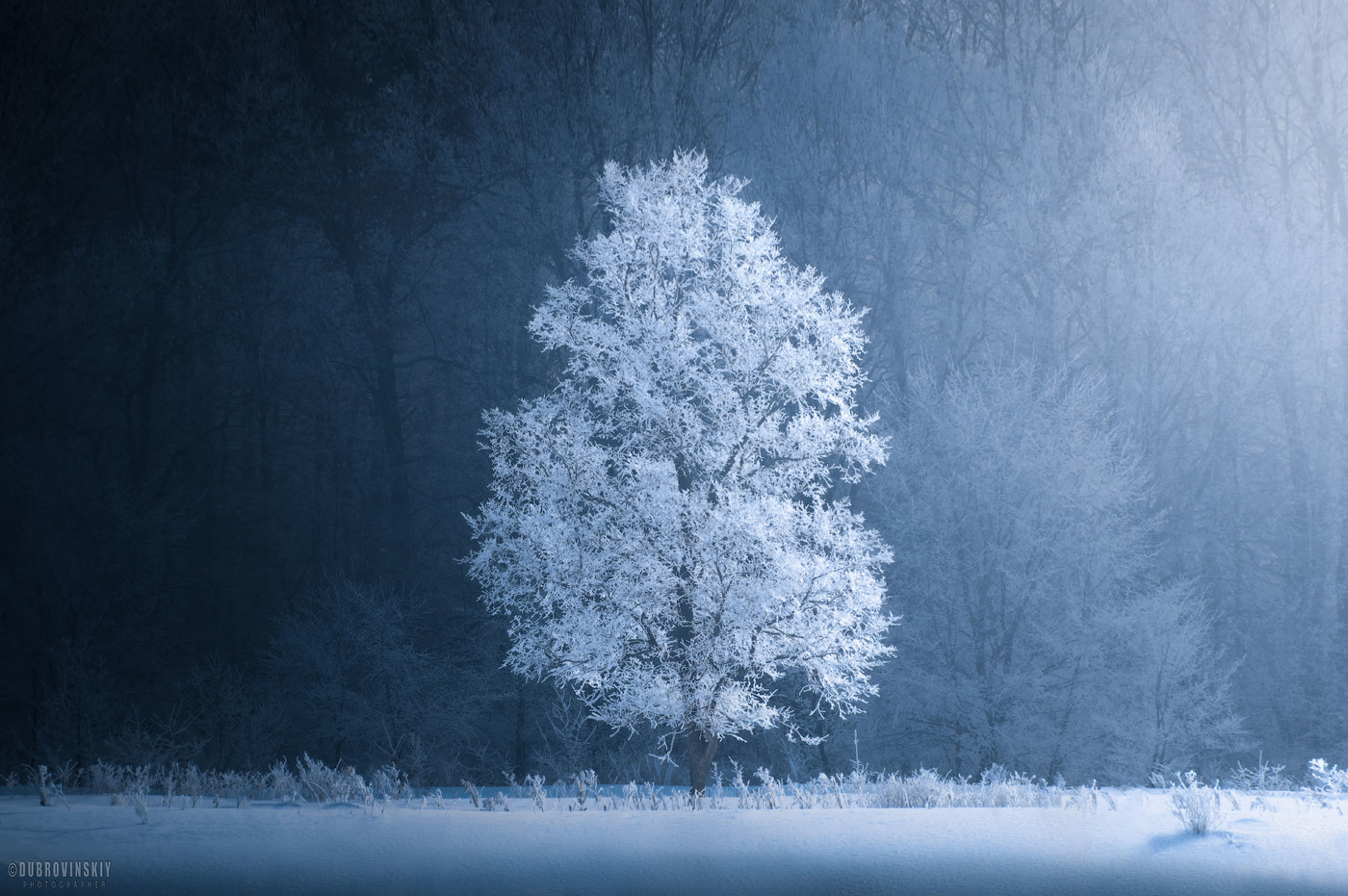 Равновесие