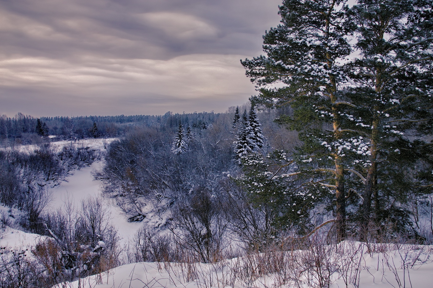 Морозным днем.