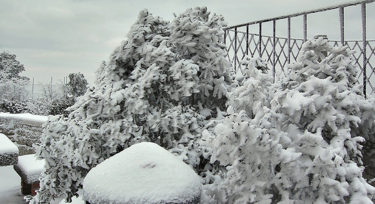 Мороз и снег сковал природу