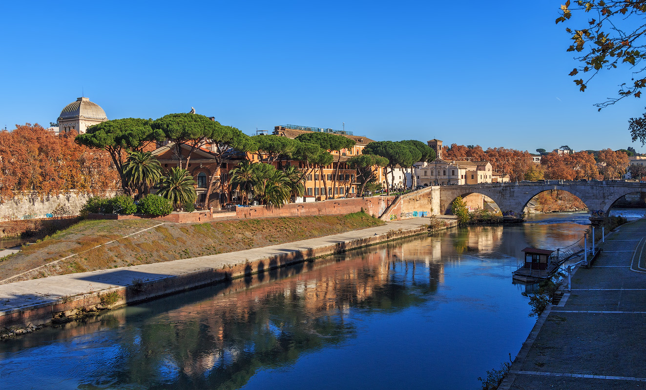 Солнечный декабрь